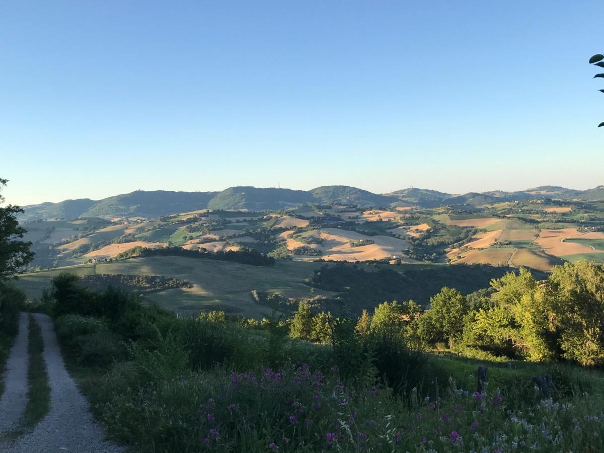 福松布罗内Agriturismo "Le Cannelle" Spa & Day Wellness别墅 外观 照片