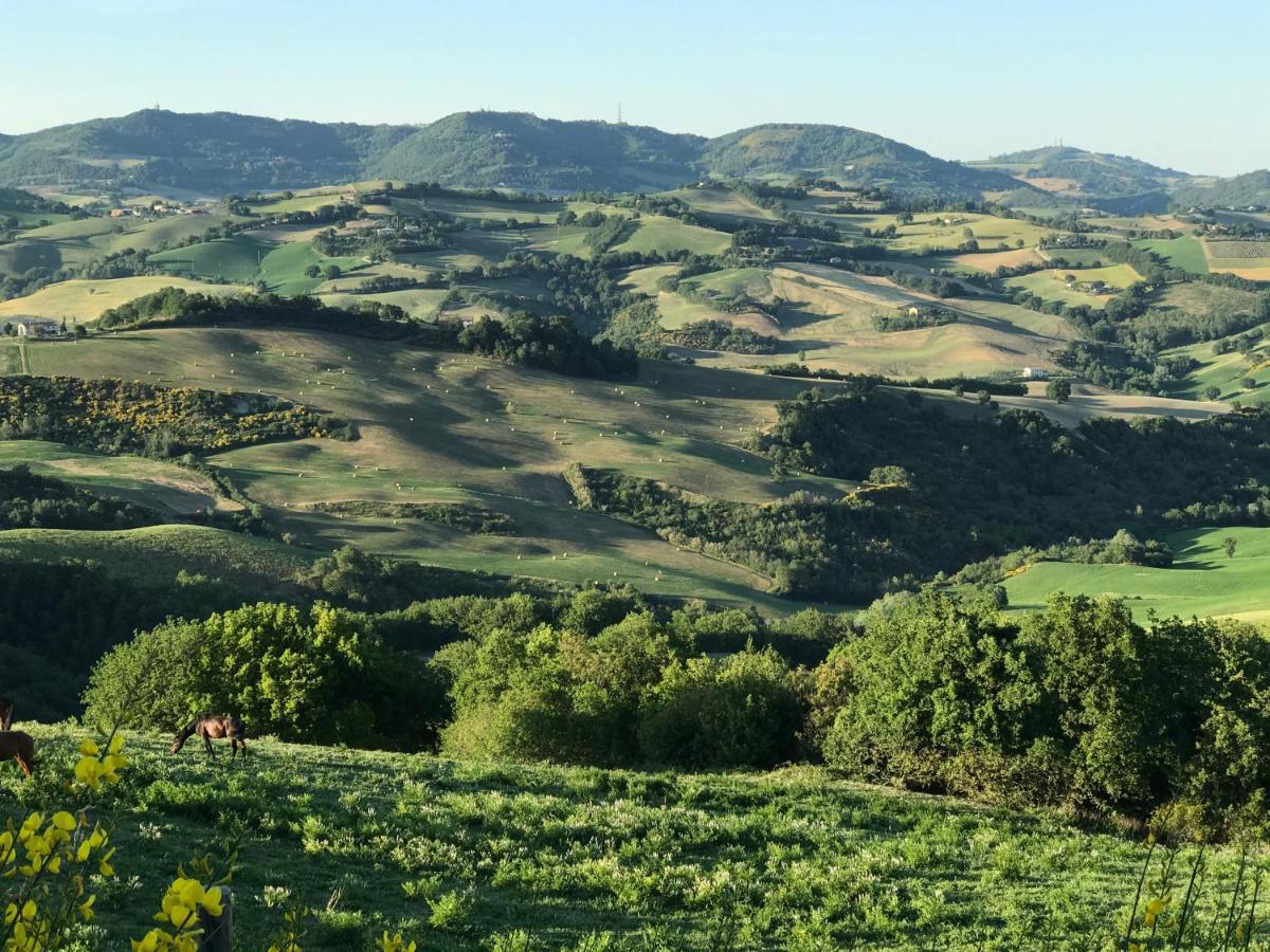 福松布罗内Agriturismo "Le Cannelle" Spa & Day Wellness别墅 外观 照片