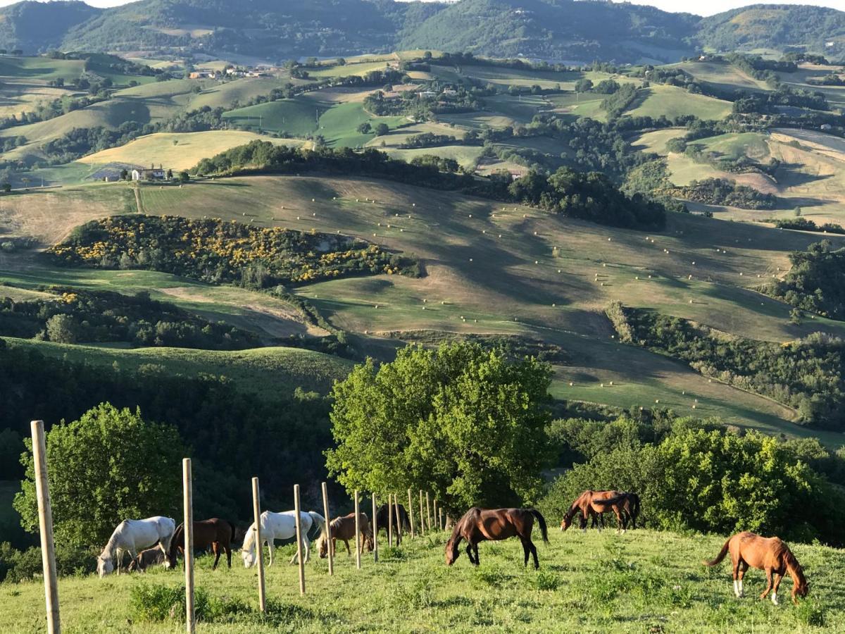 福松布罗内Agriturismo "Le Cannelle" Spa & Day Wellness别墅 外观 照片