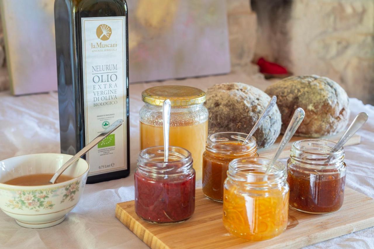 福松布罗内Agriturismo "Le Cannelle" Spa & Day Wellness别墅 外观 照片