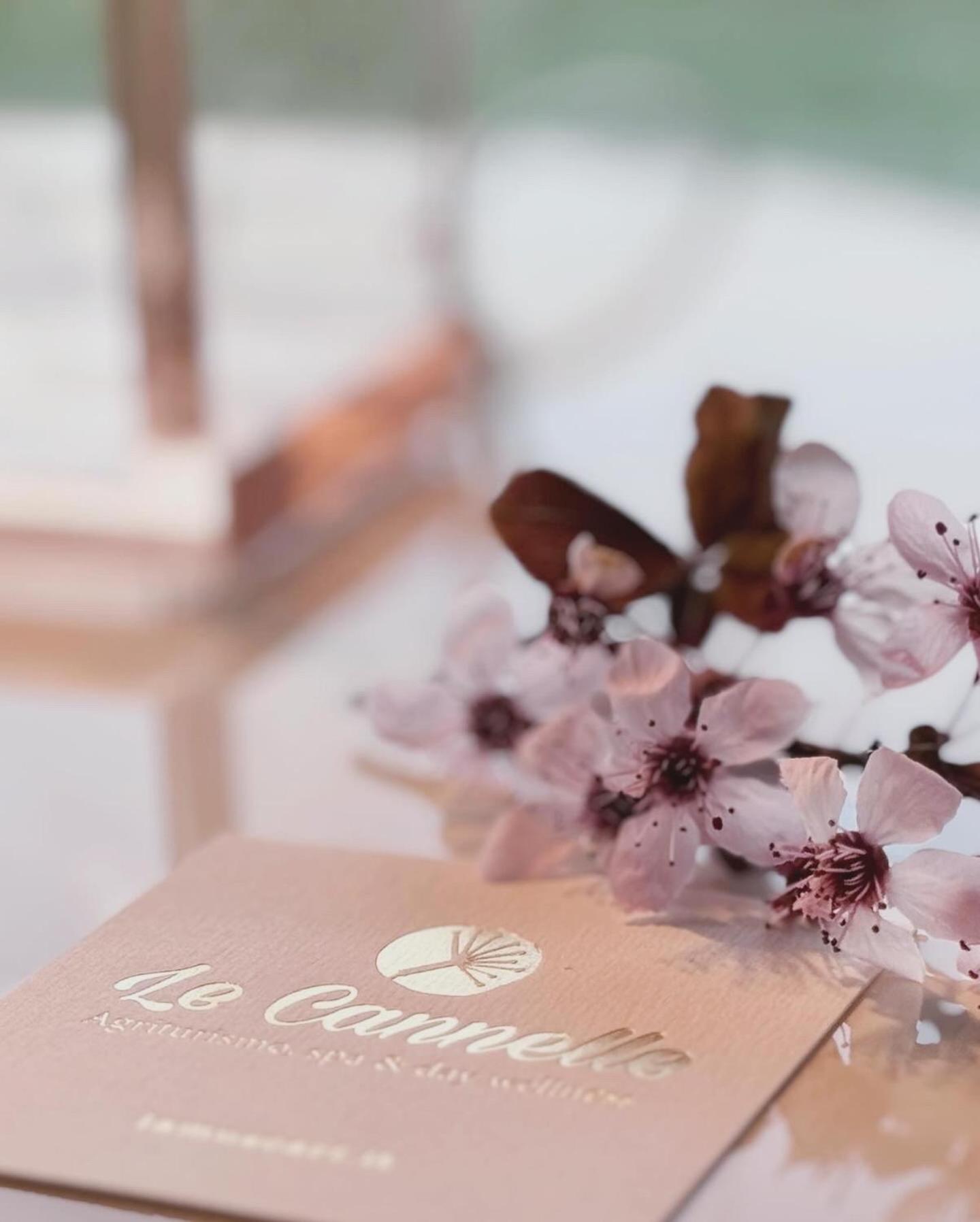 福松布罗内Agriturismo "Le Cannelle" Spa & Day Wellness别墅 外观 照片