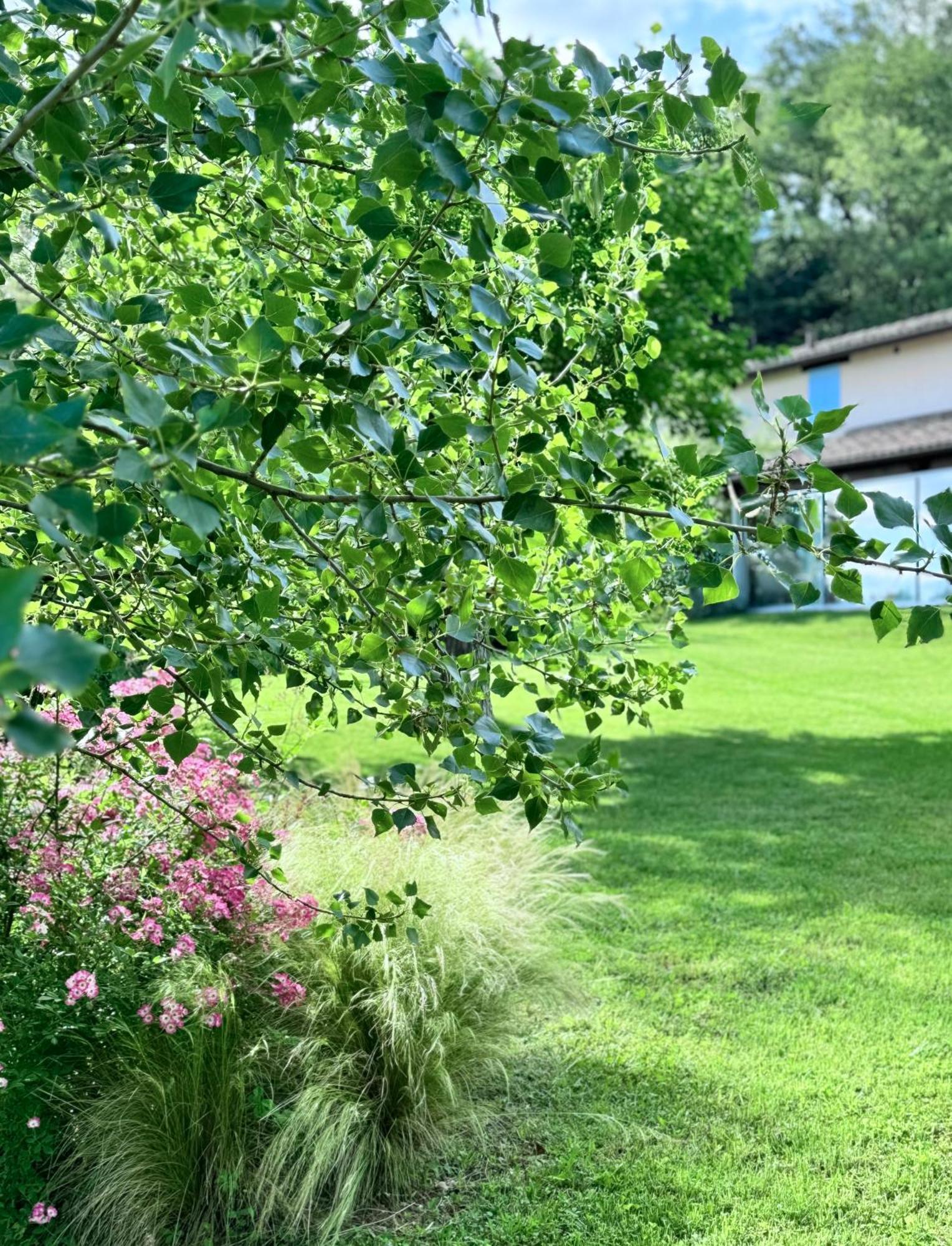 福松布罗内Agriturismo "Le Cannelle" Spa & Day Wellness别墅 外观 照片