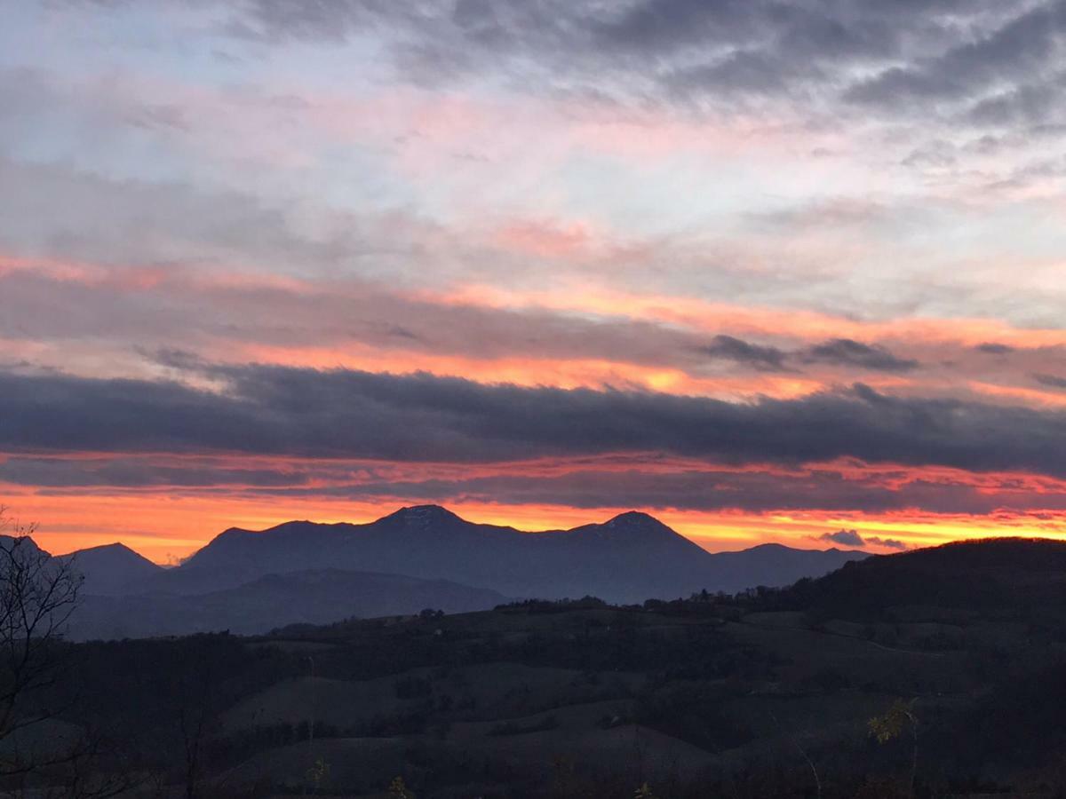 福松布罗内Agriturismo "Le Cannelle" Spa & Day Wellness别墅 外观 照片