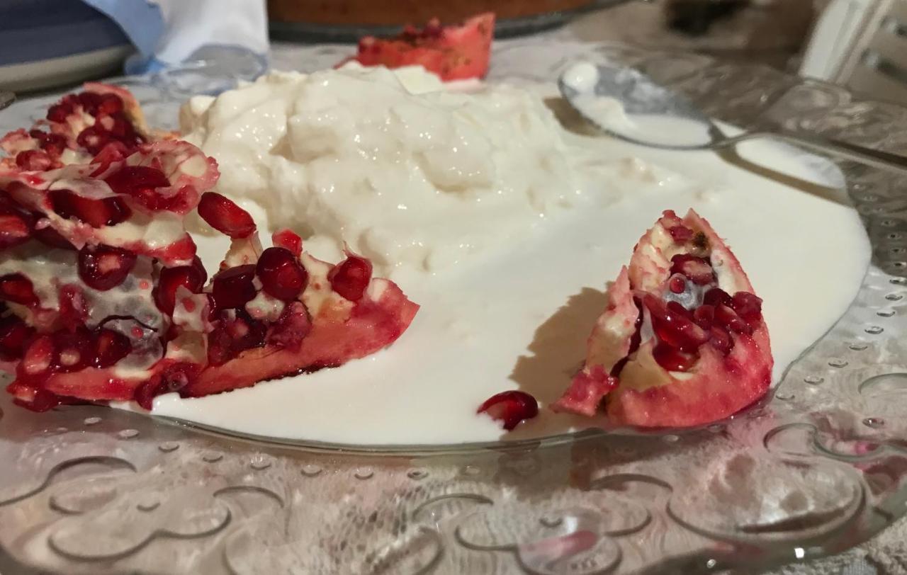 福松布罗内Agriturismo "Le Cannelle" Spa & Day Wellness别墅 外观 照片
